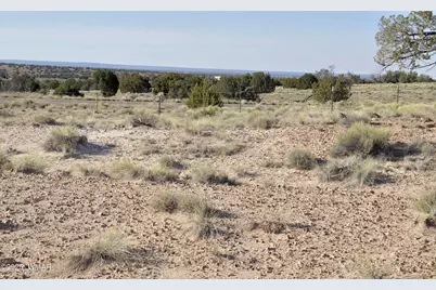 623C Lazy S Ranch Rd, Concho, AZ 85924 - Photo 29