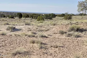 623C Lazy S Ranch Rd, Concho, AZ 85924 - Photo 29