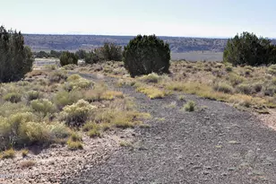 623C Lazy S Ranch Rd, Concho, AZ 85924 - Photo 17