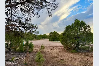 1821 Shumway Street, Show Low, AZ 85901 - Photo 1