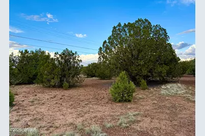 1821 Shumway Street, Show Low, AZ 85901 - Photo 11