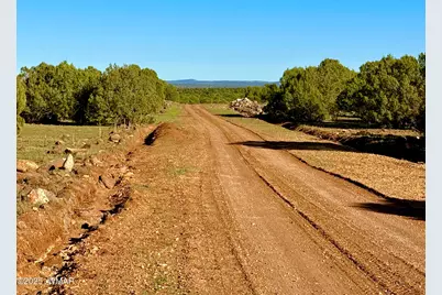 Tbd Mustang Ln Lot D &amp; E 4.8 Acres, Show Low, AZ 85901 - Photo 9