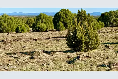 Tbd Mustang Ln Lot D &amp; E 4.8 Acres, Show Low, AZ 85901 - Photo 5