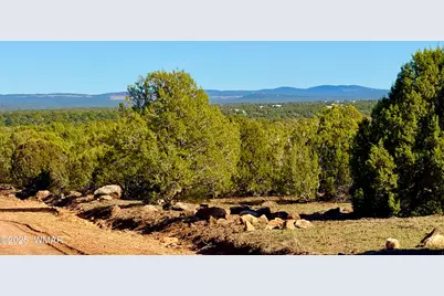 Tbd Mustang Ln Lot D &amp; E 4.8 Acres, Show Low, AZ 85901 - Photo 23
