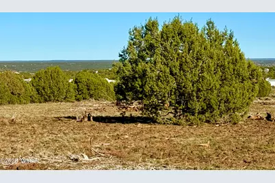 Tbd Mustang Ln Lot D &amp; E 4.8 Acres, Show Low, AZ 85901 - Photo 15