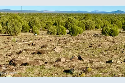 Tbd Mustang Ln Lot D &amp; E 4.8 Acres, Show Low, AZ 85901 - Photo 13