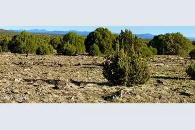 Tbd Mustang Ln Lot D &amp; E 4.8 Acres, Show Low, AZ 85901 - Photo 3