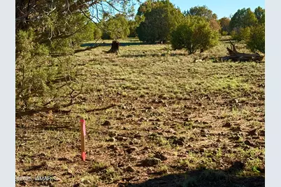 Tbd Mustang Ln Lot D &amp; E 4.8 Acres, Show Low, AZ 85901 - Photo 7