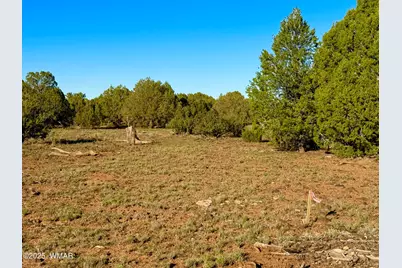 Tbd Mustang Ln Lot D &amp; E 4.8 Acres, Show Low, AZ 85901 - Photo 11