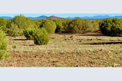 Tbd Mustang Ln Lot D &amp; E 4.8 Acres, Show Low, AZ 85901 - Photo 19