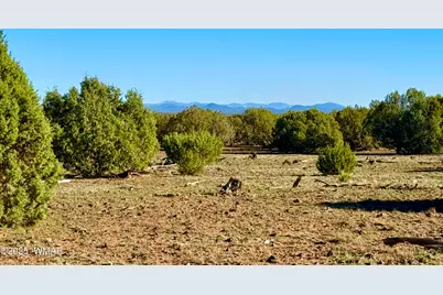 Tbd Mustang Ln Lot D &amp; E 4.8 Acres, Show Low, AZ 85901 - Photo 21