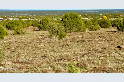Tbd Mustang Ln Lot D &amp; E 4.8 Acres, Show Low, AZ 85901 - Photo 17