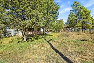 2056 Shot Gun Rd, Overgaard, AZ 85933 - Photo 21