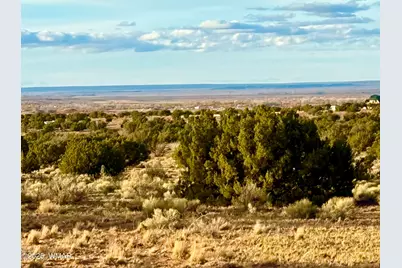 480 County Rd N6400, Saint Johns, AZ 85936 - Photo 3