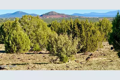 Tbd Mustang Ln Lots F &amp; H 5.5 Acre, Show Low, AZ 85901 - Photo 1