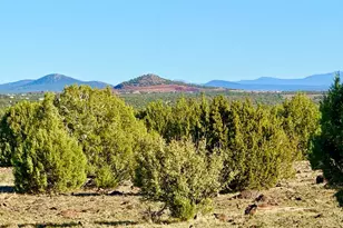 Tbd Mustang Ln Lots F &amp H 5 5 Acre, Show Low, AZ 85901 - Photo 1