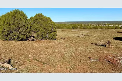 Tbd Mustang Ln Lots F &amp; H 5.5 Acre, Show Low, AZ 85901 - Photo 21