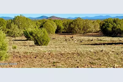 Tbd Mustang Ln Lots F &amp; H 5.5 Acre, Show Low, AZ 85901 - Photo 5