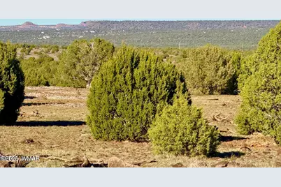 Tbd Mustang Ln Lots F &amp; H 5.5 Acre, Show Low, AZ 85901 - Photo 11