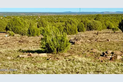 Tbd Mustang Ln Lots F &amp; H 5.5 Acre, Show Low, AZ 85901 - Photo 9