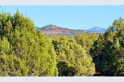 Tbd Mustang Ln Lots F &amp; H 5.5 Acre, Show Low, AZ 85901 - Photo 13