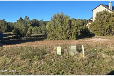 521 S Rock Creek Drive, Show Low, AZ 85901 - Photo 7