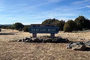 521 S Rockcreek Dr, Show Low, AZ 85901 - Photo 5