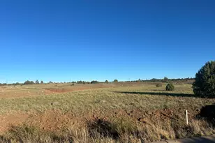 1081 S Ridgeway Dr, Show Low, AZ 85901 - Photo 3