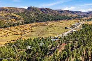 4 N1013, Greer, AZ 85927 - Photo 39