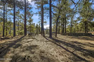 4 N1013, Greer, AZ 85927 - Photo 45