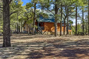 4 N1013, Greer, AZ 85927 - Photo 41
