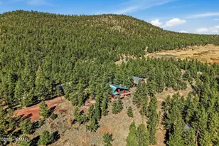 4 N1013, Greer, AZ 85927 - Photo 37