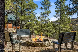 4 N1013, Greer, AZ 85927 - Photo 43