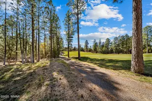 1520 S Little Leaf Ln, Show Low, AZ 85901 - Photo 49