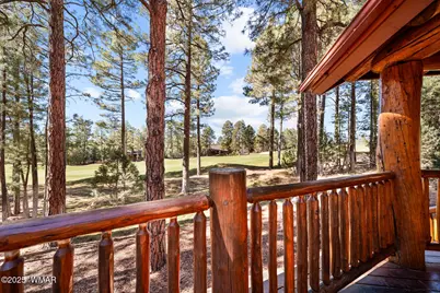 1520 S Little Leaf Lane, Show Low, AZ 85901 - Photo 47