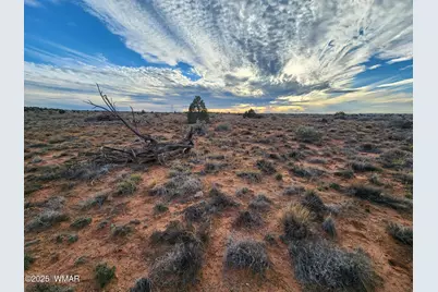 8694 Kasias Trail, Snowflake, AZ 85937 - Photo 17