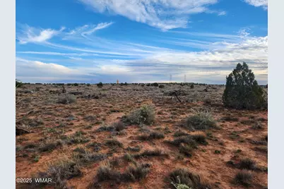 8694 Kasias Trail, Snowflake, AZ 85937 - Photo 21