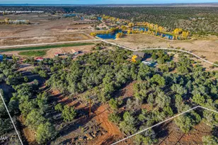 2225 State Route 77, Show Low, AZ 85901 - Photo 53