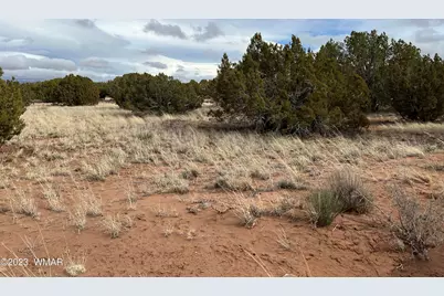4053 S Pinto Road, Snowflake, AZ 85937 - Photo 7