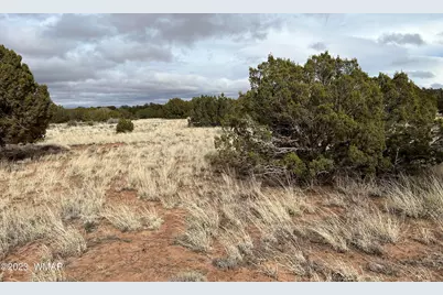 4053 S Pinto Road, Snowflake, AZ 85937 - Photo 9