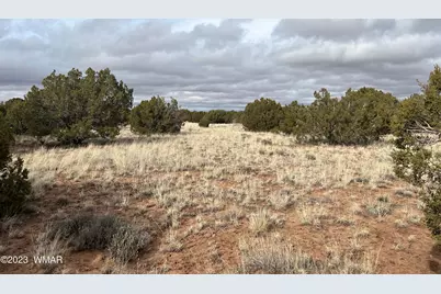 4053 S Pinto Road, Snowflake, AZ 85937 - Photo 1