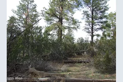 2925 Buckskin Canyon Rd, Heber, AZ 85928 - Photo 15