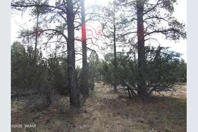 2925 Buckskin Canyon Rd, Heber, AZ 85928 - Photo 17