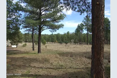 2925 Buckskin Canyon Rd, Heber, AZ 85928 - Photo 3