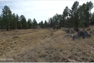 2925 Buckskin Canyon Rd, Heber, AZ 85928 - Photo 19