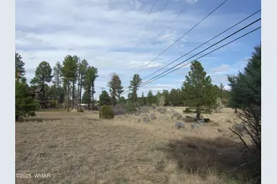 2925 Buckskin Canyon Rd, Heber, AZ 85928 - Photo 7