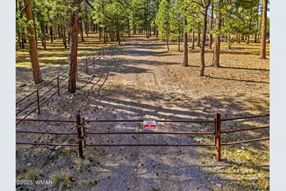 25319 US Hwy 191, Alpine, AZ 85920 - Photo 17