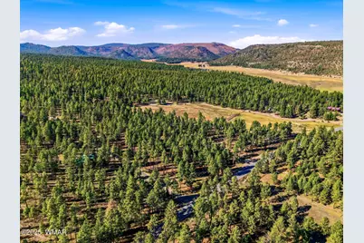 25319 US Hwy 191, Alpine, AZ 85920 - Photo 3