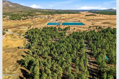 25319 US Hwy 191, Alpine, AZ 85920 - Photo 7