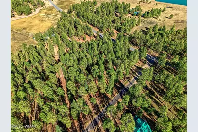 25319 US Hwy 191, Alpine, AZ 85920 - Photo 11